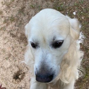 Meet your Posher, Kyla